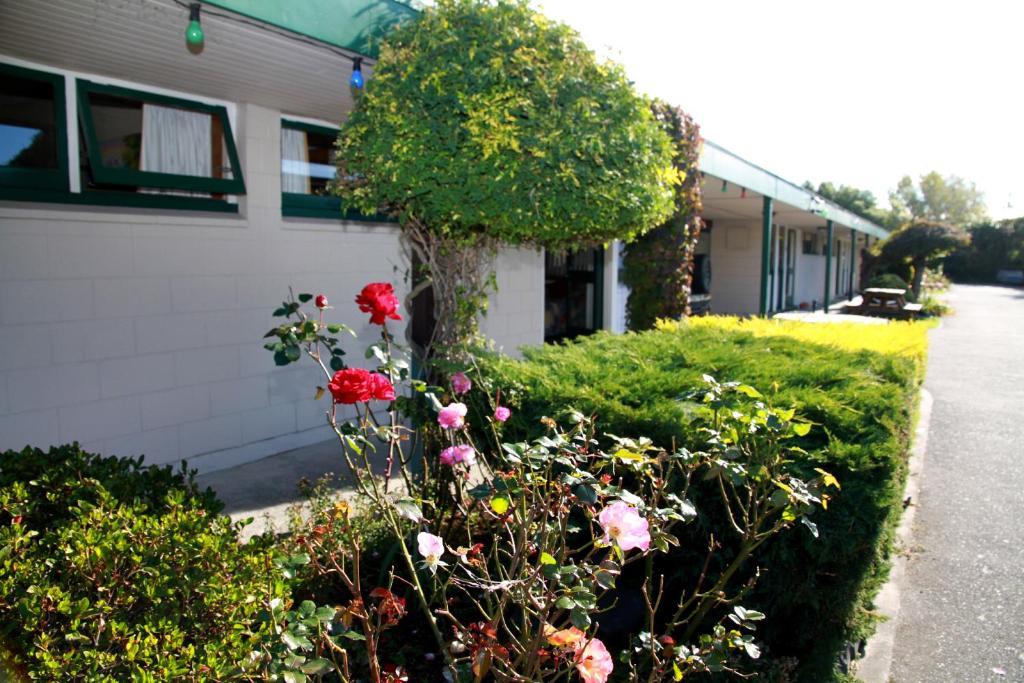 Addington City Motel Christchurch Exteriör bild